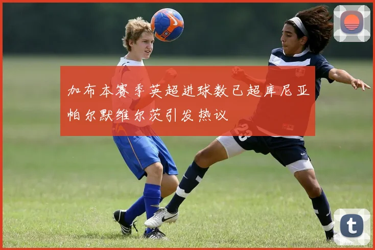 加布本赛季英超进球数已超库尼亚帕尔默维尔茨引发热议