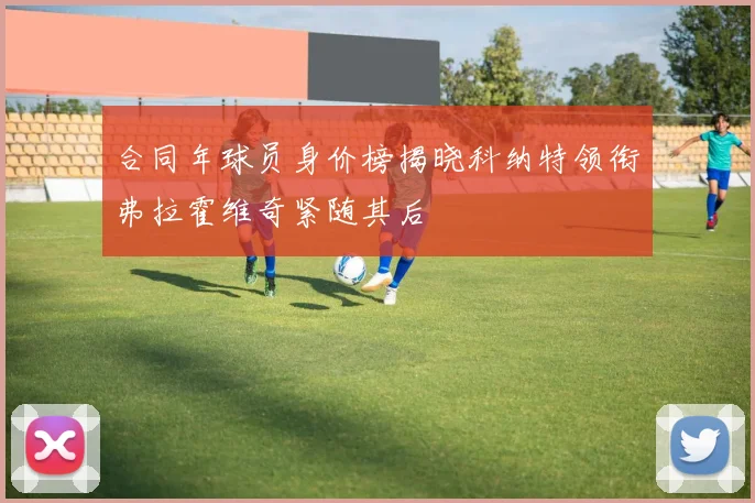 合同年球员身价榜揭晓科纳特领衔弗拉霍维奇紧随其后